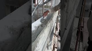 Plaster corner beam shorts plaster skills shortsfeed [upl. by Glory]