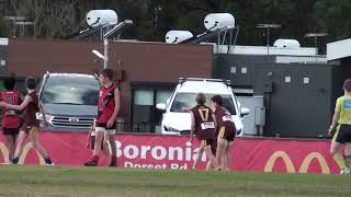 Boronia Hawks v Knox Falcons Q3 [upl. by Llerraf]