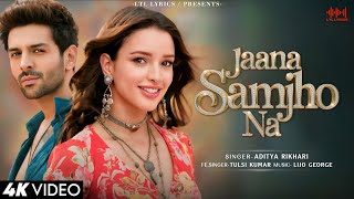 Jaana Samjho Na LYRICS Aditya Rikhari Tulsi Kumar Kartik AaryanTriptii Dimri Bhool Bhulaiyaa 3 [upl. by Aleekat925]