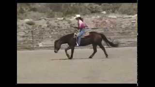 Bridleless Hands Free Riding  Reining Demo [upl. by Babby]