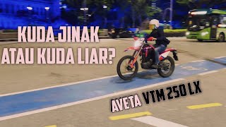 Aveta VTM 250 LX 1st test ride Review  Padu ke idak [upl. by Egrog]