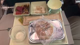 Dinner on a tray at 35000 ft on VN50 [upl. by Haldi381]