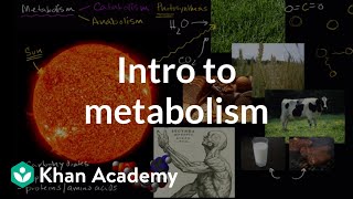 Introduction to metabolism anabolism and catabolism  Khan Academy [upl. by Euqinommod]