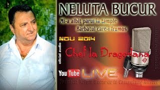 NELUTA BUCUR  Mia albit parul la tample  Barbatul carei frumos live audio [upl. by Hendrick]