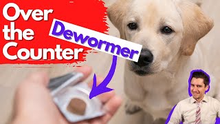 Over the Counter Dog Dewormer Dr Dan talks dewormers [upl. by Ayekim]