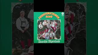 Feichtensteiner Echo  volksmusik  polka  oberkrainer  viralvideo  shorts [upl. by Sone735]