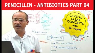 Penicillin  Antibiotics  Dr Najeeb  Part 44 [upl. by Domph968]