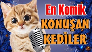 En Komik Bölümler  Konuşan Kediler [upl. by Karlow]