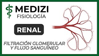 Fisiología Renal  Filtración glomerular y flujo sanguíneo renal IGdoctorpaiva [upl. by Orgel]