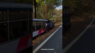 Darjeeling in 60 Seconds Darjeeling TravelShorts IncredibleIndia TeaGarden MountainViews [upl. by Las]