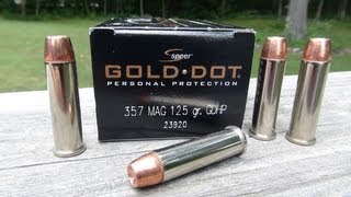 Speer Gold Dot 357 Magnum Ammo Gel Test [upl. by Astiram]