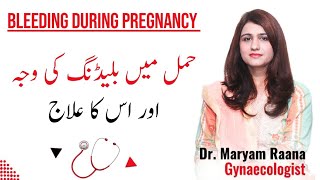 Early Pregnancy Bleeding in UrduHindi  Dr Maryam Raana Gynaecologist [upl. by Mylander]