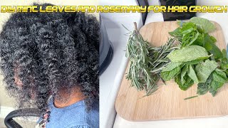 Rosemary and peppermint oil  fenugreek seeds for hair growth [upl. by Adniled]