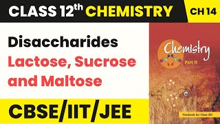 Class 12 Chemistry Chapter 14  Disaccharides Lactose Sucrose and Maltose  Biomolecules 202223 [upl. by Rheims]