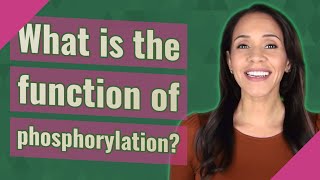 What is the function of phosphorylation [upl. by Atilegna]