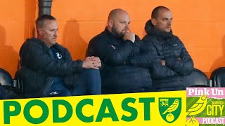 610 Lee Dunn Interview  Insight on the player recruitment process  PinkUn Norwich City Podcast [upl. by Naenaj]