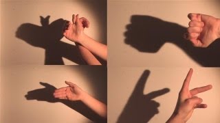 How To Make Shadow Puppets With Your Hand [upl. by Estus716]