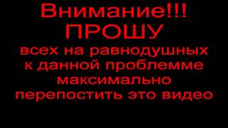 Обращение к Президенту РЕСПУБЛИКИ БЕЛАРУСЬ Достучаться до небес [upl. by Larual350]