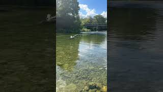 Sometimes you just need to frolic in a river ☀️🐟👙🦋 nature outdoors happy smile [upl. by Harday]