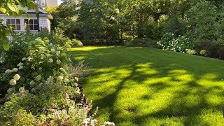 🌱 Open Lawn Garden Tour  Privacy Hedge  Y Garden 🌱 [upl. by Dowd]