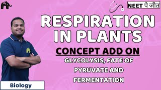 Respiration in Plants NEET Concept Add OnGlycolysis Fate of Pyruvate and Fermentation  Biology [upl. by Eardna]