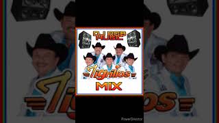 Mix de los tigrillos DJ rgb music [upl. by Fahey]