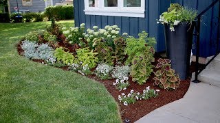 Flowerbed Makeover Start to Finish 🌿🌸 [upl. by Arracat]