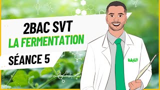 Séance 5  La Fermentation Lactique et alcoolique 2Bac SVT [upl. by Halliday]