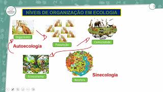 151  ECOLOGIA  BIOLOGIA  3º ANO EM  AULA 1512024 [upl. by Delwin930]