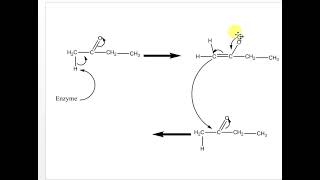 Acetatemevalonate pathway [upl. by Eceinahs]