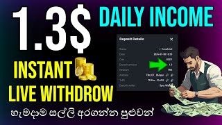 දවසකට ඩොලර් 13 දෙන Website එක  New Usdt Platform  Sinhala  Srilanka [upl. by Reiners903]