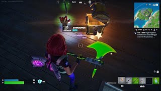 Fortnite [upl. by Ama]