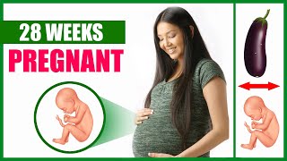 28 Weeks Pregnant – Baby Movement and Baby Size Position [upl. by Gratianna798]