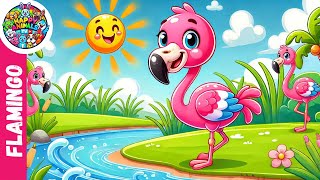 Flamingo Dance  ‪HappyAnimalsTV Kids Songs amp Nursery Rhymes [upl. by Miarzim]