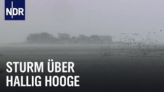 Land unter auf Hallig Hooge  die nordstory  NDR Doku [upl. by Earas]