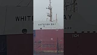 Whitefish Bay is sailing empty on the river in Michigan [upl. by Notnert429]