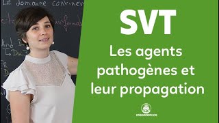 Les agents pathogènes et leur propagation  SVT  Seconde  Les Bons Profs [upl. by Airekahs]