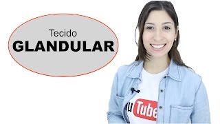 Histologia Tecido Epitelial Glandular Videoaula  Anatomia e etc [upl. by Ennahteb]