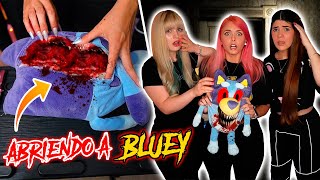 Abrimos el MUÑECO MALDITO de BLUEY de la DEEP WEB😰​☠️​ dipssybunny AniCat  Jenny Devil😈 [upl. by Ahseia891]