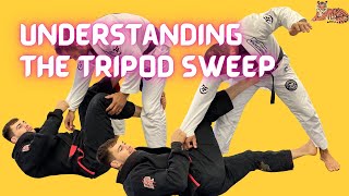 Understand The BJJ Tripod Sweep [upl. by Stinky905]