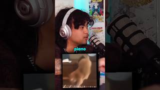 Cat piano meme Mandela effect 😱 jumpersjump podcast scary mystery [upl. by Larrej879]