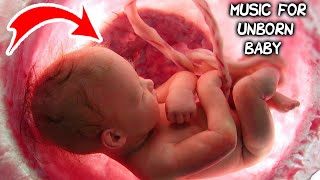 Music for unborn baby  Brain development  Relax [upl. by Almallah]