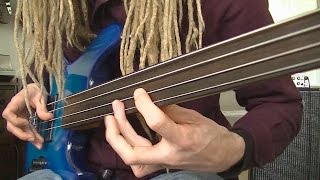 Fretless Funk Rock Bass Grooves [upl. by Trescha]