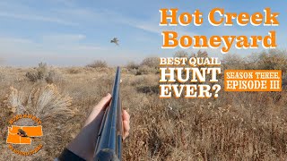 Best Quail hunt ever  Hot Creek Boneyard  A Banner Quail Hunt [upl. by Emirej]