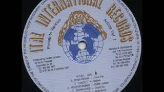 Bingy Bunny  She Loves Me  LP Ital International 1990  LOVERS DIGITAL 80S DANCEHALL [upl. by Dutchman]