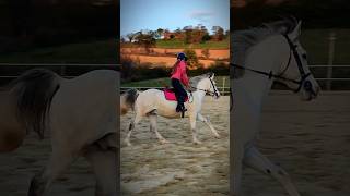 Premiers changements de pieds ☺️🦄 horse equestrian poney [upl. by Yenattirb911]