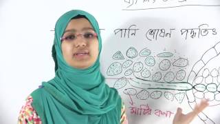 02 Osmosis  অভিস্রবন  OnnoRokom Pathshala [upl. by Eusebio]