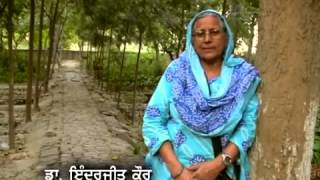 Pingalwara Zero Budget Natural Farming in Punjab  Part 1 [upl. by Kcirdaed]