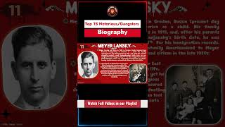 Meyer Lansky  Gangsters Short Biography [upl. by Amasa]