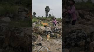 Deer 🦌 catching jungel vfx funny 😱 my Village 😱shortvideo viralvideo animals [upl. by Mulry]